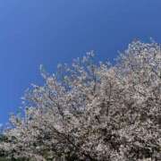 ヒメ日記 2026/04/04 12:27 投稿 ことか 奥鉄オクテツ東京店（デリヘル市場）