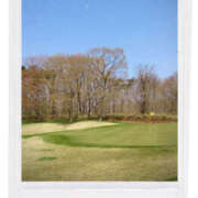 ヒメ日記 2026/04/16 11:49 投稿 ことか 奥鉄オクテツ東京店（デリヘル市場）