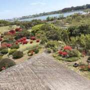 ヒメ日記 2026/04/19 14:42 投稿 シャネル NEW GENERATION