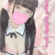 ヒメ日記 2024/12/25 17:49 投稿 セカイ バニーコレクション千葉栄町店