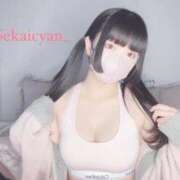 ヒメ日記 2025/02/19 19:54 投稿 セカイ バニーコレクション千葉栄町店