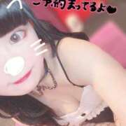 ヒメ日記 2025/02/20 09:47 投稿 セカイ バニーコレクション千葉栄町店