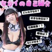 ヒメ日記 2025/03/15 15:01 投稿 セカイ バニーコレクション千葉栄町店