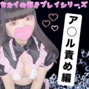 ヒメ日記 2025/03/21 21:00 投稿 セカイ バニーコレクション千葉栄町店