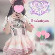 ヒメ日記 2025/04/04 12:02 投稿 セカイ バニーコレクション千葉栄町店