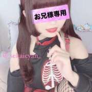 ヒメ日記 2025/04/08 13:54 投稿 セカイ バニーコレクション千葉栄町店