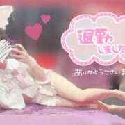 ヒメ日記 2025/04/09 00:13 投稿 セカイ バニーコレクション千葉栄町店