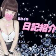 ヒメ日記 2025/04/12 21:01 投稿 セカイ バニーコレクション千葉栄町店