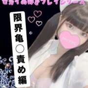 ヒメ日記 2025/04/16 18:01 投稿 セカイ バニーコレクション千葉栄町店