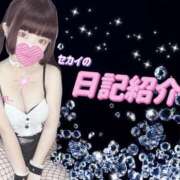 ヒメ日記 2025/04/20 21:29 投稿 セカイ バニーコレクション千葉栄町店