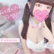 ヒメ日記 2025/04/22 21:02 投稿 セカイ バニーコレクション千葉栄町店