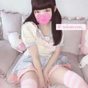 ヒメ日記 2025/04/26 12:03 投稿 セカイ バニーコレクション千葉栄町店