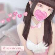 ヒメ日記 2025/05/01 12:01 投稿 セカイ バニーコレクション千葉栄町店