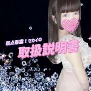 ヒメ日記 2025/05/03 21:00 投稿 セカイ バニーコレクション千葉栄町店