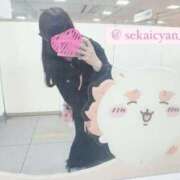 ヒメ日記 2025/05/04 09:03 投稿 セカイ バニーコレクション千葉栄町店