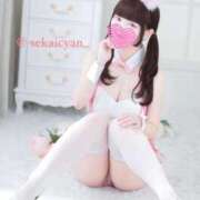 ヒメ日記 2025/05/07 20:02 投稿 セカイ バニーコレクション千葉栄町店