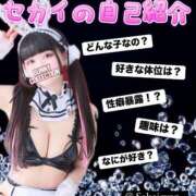 ヒメ日記 2025/05/13 18:03 投稿 セカイ バニーコレクション千葉栄町店