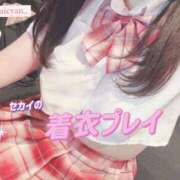 ヒメ日記 2025/05/14 18:01 投稿 セカイ バニーコレクション千葉栄町店