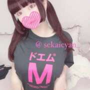 ヒメ日記 2025/05/22 17:31 投稿 セカイ バニーコレクション千葉栄町店