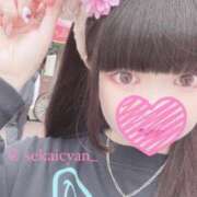 ヒメ日記 2025/05/23 12:01 投稿 セカイ バニーコレクション千葉栄町店