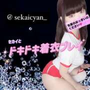 ヒメ日記 2025/06/08 15:01 投稿 セカイ バニーコレクション千葉栄町店