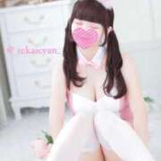 ヒメ日記 2025/06/12 18:42 投稿 セカイ バニーコレクション千葉栄町店