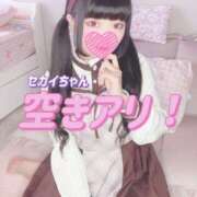 ヒメ日記 2025/06/20 18:03 投稿 セカイ バニーコレクション千葉栄町店