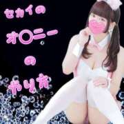 ヒメ日記 2025/06/27 12:00 投稿 セカイ バニーコレクション千葉栄町店