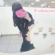 ヒメ日記 2025/06/27 18:02 投稿 セカイ バニーコレクション千葉栄町店