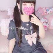 ヒメ日記 2025/07/05 22:28 投稿 セカイ バニーコレクション千葉栄町店