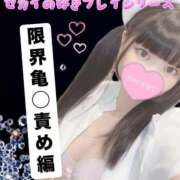 ヒメ日記 2025/07/14 18:00 投稿 セカイ バニーコレクション千葉栄町店