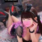 ヒメ日記 2025/07/25 14:55 投稿 セカイ バニーコレクション千葉栄町店