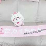 ヒメ日記 2025/08/05 20:35 投稿 セカイ バニーコレクション千葉栄町店