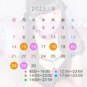 ヒメ日記 2025/08/11 21:00 投稿 セカイ バニーコレクション千葉栄町店