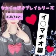 ヒメ日記 2025/09/06 12:00 投稿 セカイ バニーコレクション千葉栄町店