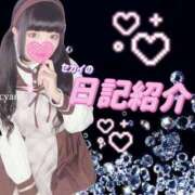 ヒメ日記 2025/09/12 12:00 投稿 セカイ バニーコレクション千葉栄町店