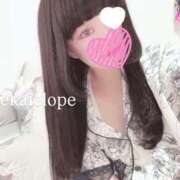 ヒメ日記 2025/09/23 14:09 投稿 セカイ バニーコレクション千葉栄町店