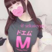 ヒメ日記 2025/09/24 18:25 投稿 セカイ バニーコレクション千葉栄町店