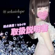 ヒメ日記 2025/10/11 14:30 投稿 セカイ バニーコレクション千葉栄町店