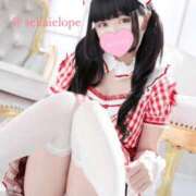 ヒメ日記 2025/10/30 18:02 投稿 セカイ バニーコレクション千葉栄町店