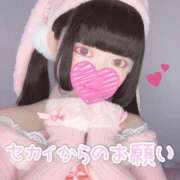 ヒメ日記 2025/11/01 14:00 投稿 セカイ バニーコレクション千葉栄町店