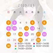 ヒメ日記 2025/11/01 21:59 投稿 セカイ バニーコレクション千葉栄町店