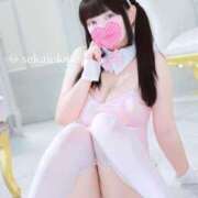 ヒメ日記 2025/11/07 13:46 投稿 セカイ バニーコレクション千葉栄町店