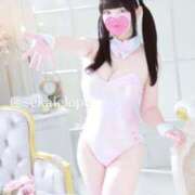 ヒメ日記 2025/11/07 17:25 投稿 セカイ バニーコレクション千葉栄町店