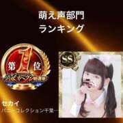 ヒメ日記 2025/11/12 12:55 投稿 セカイ バニーコレクション千葉栄町店