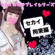 ヒメ日記 2025/11/16 10:00 投稿 セカイ バニーコレクション千葉栄町店