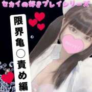 ヒメ日記 2025/11/16 14:00 投稿 セカイ バニーコレクション千葉栄町店