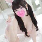 ヒメ日記 2025/11/19 18:03 投稿 セカイ バニーコレクション千葉栄町店