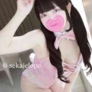 ヒメ日記 2025/11/20 22:01 投稿 セカイ バニーコレクション千葉栄町店