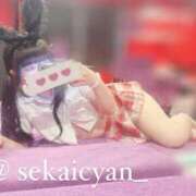 ヒメ日記 2025/11/22 18:03 投稿 セカイ バニーコレクション千葉栄町店